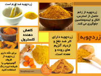همه ی آنچه که باید در مورد زرد چوبه بدانید