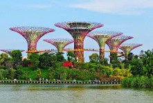 معرفی گاردنز بای دی بی | پارک رویایی در سنگاپور + عکس