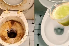 ویدئو ترفندی/ نحوه سفیدکردن سنگ توالت مثل روز اول