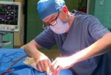 آدرس و تلفن دکتر پرویز ذوالقدری متخصص جراحی دهان در تبریز