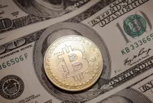 معرفی ۳ تا از بهترین صرافی ها ایرانی برای نقد کردن همستر کامبت