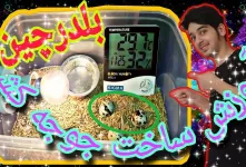 ( ویدیو) آموزش ساخت دستگاه جوجه کشی بلدرچین با کمترین امکانات !