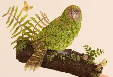 مجسمه های دست ساز زیبای پرنده ساخته شده از پرهای ریز !