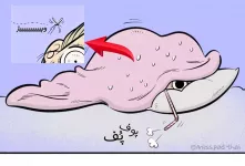 وقتی شبا پشه می بینم به روایت تصویر!