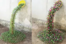 ایده ی زیبا و حرفه ای کاشت آبشار برای باغچه های کوچک!