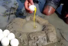 تکنیک ماهیگیری باور نکردنی / با تخم مرغ ماهی صید کنید!