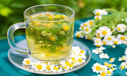 با چای بابونه سلامت خود و خانواده را تضمین کنید