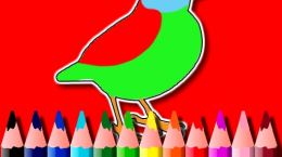 بازی رنگ آمیزی پرنده ها