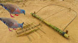طرز ساخت تله بیابانی پرنده با چوب و تور