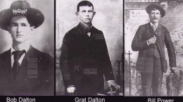 ویدیو دانستنی‌های عجیب و جالب درباره برادران دالتون