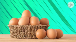 باورهای غلط و رایج درباره فواید و مضرات تخم مرغ