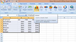 آموزش اکسل ۲۰۰۷ Microsoft Excel (چارت و نمودار)