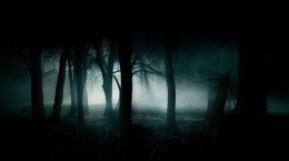 صدای جنگل در شب جیرجیرک ها و جغدها و پرنده شب