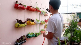 ترفند خلاقانه ساخت گلخانه دیواری با بطری نوشابه