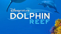 مستند صخره دلفین Dolphin Reef ۲۰۲۰ BluRay