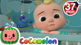 انیمیشن کوکوملون جدید برای کودکان مهد به مدت 30 دقیقه