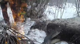 نجات گوزن به دام افتاده در رودخانه یخ زده