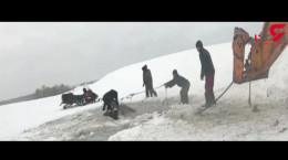 فیلم نجات یک گله اسب از داخل رودخانه یخ زده