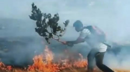 کلیپ ناراحت کننده از آتش سوزی در زاگرس