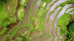 تصاویر هوایی از طبیعت زیبای بالی اندونزی