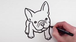 کلیپ نقاشی کودکانه سگ بولداگ فرانسوی