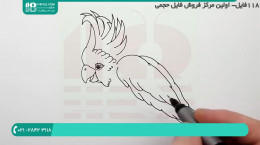 کلیپ نقاشی کودکانه نقاشی طوطی