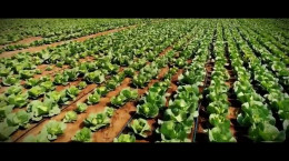 ویدیو: توصیه های رهبری در خصوص کشاورزی دانش‌بنیان
