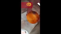 ویدیو پرتقالی که چشم دارد و گریه می کند !