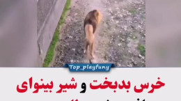 لاغری بیش از حد حیوانات باغ وحشی در ایران