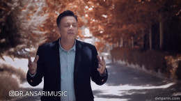 موزیک ویدیو جدید محمود انصاری به نام قاصدک