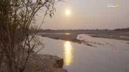 مستند طبیعت و حیات وحش داستان هایی از زامبیا
