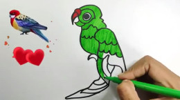آموزش نقاشی طوطی پرنده رنگی