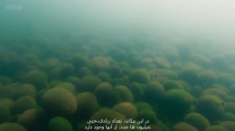 مستند سیاره سبز قسمت 2 زیرنویس فارسی