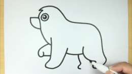 فیلم نقاشی خرس قطبی بچه گانه