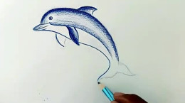 آموزش طراحی دلفین