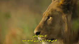 دانلود مستند سینمایی بهشت نجات ۲۰۲۲ با زیرنویس فارسی
