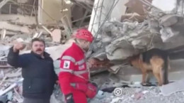 فیلم لحظه پیدا کردن یک نفر از زیر آوار زلزله ترکیه توسط سگ های هلال احمر ایران