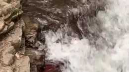کلیپ نجات خواهر و برادر از سقوط در آبشار ویسادار