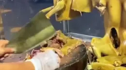 ویدیوی از کباب گوشت سگ در چین