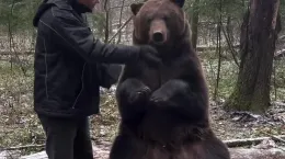 کلیپ بامزه دوستی خرس و پیرمرد