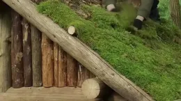 کلیپ جالب ساخت خانه چوبی در جنگل