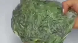 طرز نگهداری سبزی خوردن در یخچال به مدت طولانی