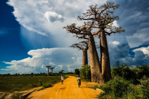 روایت تصویری از چهارمین جزیره ی زیبای دنیا , جزیره ماداگاسکار