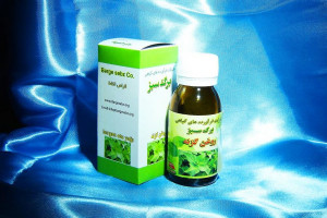 فواید استفاده از روغن گزنه موثر در تقویت رشد مو و سلامت پوست