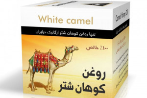 روغن کوهان شتر فواید دارویی و درمانی روغن کوهان شتر