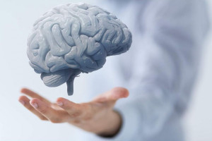 15 راهکار طلایی برای فعال نگه داشتن مغز