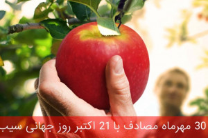 ۳۰ مهرماه مصادف با ۲۱ اکتبر روز جهانی سیب