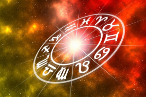 متولدین سال موش چه خصوصیاتی دارند ؟