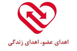 کدام عضو بدن را تا زنده هستیم میتوان اهدا کرد ؟