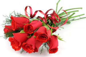بهترین گل برای هدیه دادن چه گلی برای هدیه دادن مناسب است ؟
